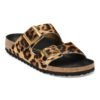 Arizona Fur - Classic Leo